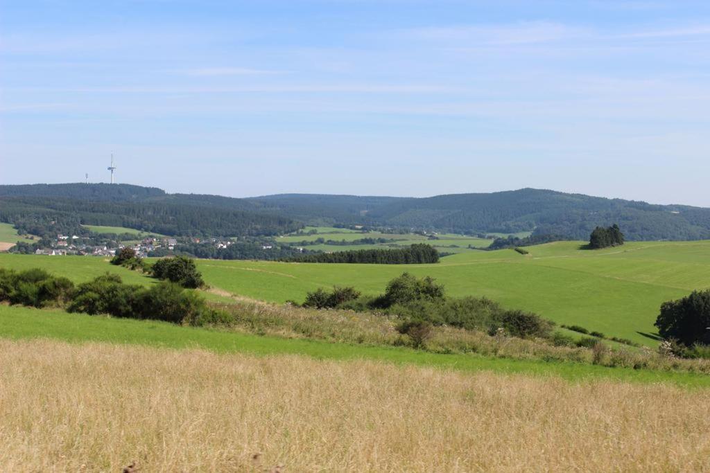 Ferienwohnung Am Hofgarten Langenfeld  Exteriör bild